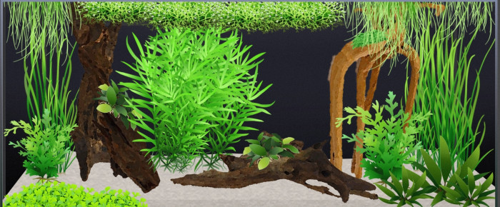 aquarium 140l , de EntoFlora