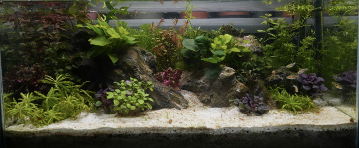 aquarium Nano 50 litres , de Solal