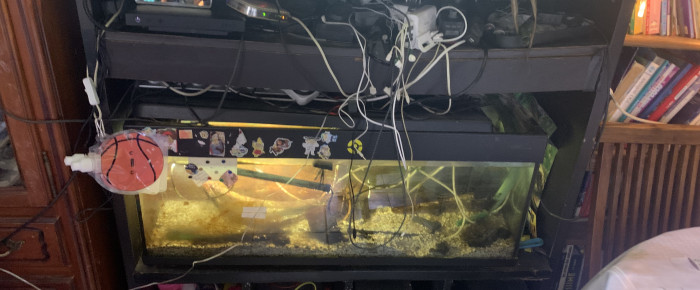 aquarium 120l , de cambierguillaume