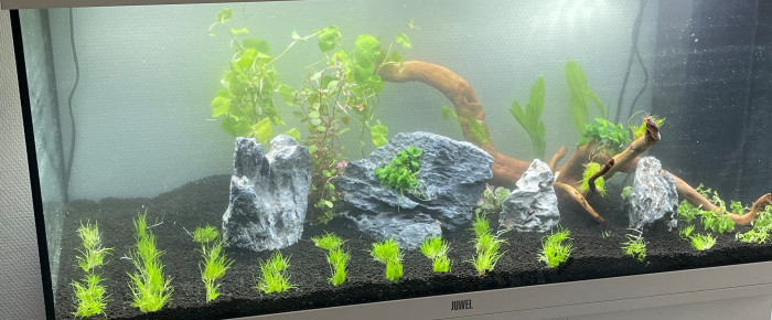 aquarium Juwel 180l , de Seb39