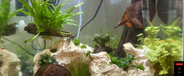 aquarium Crecreland , de Niko4485