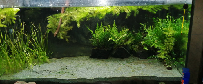 aquarium Mon aqua , de lexx