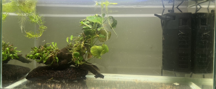 aquarium Babyland , de Alex69