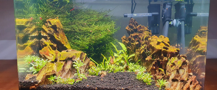 aquarium Canyon , de MrJo