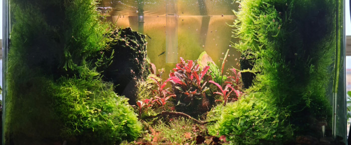 aquarium Lithion , de ibaloo