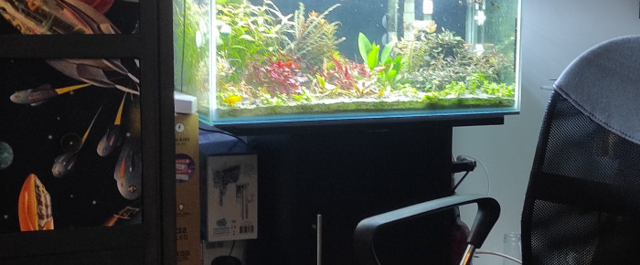 aquarium Hollandais , de nikopol