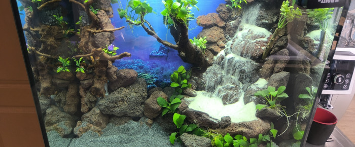 aquarium Juwel 120 l , de Eau-douce