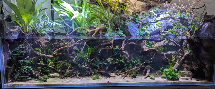 aquarium Shallow , de Sobe