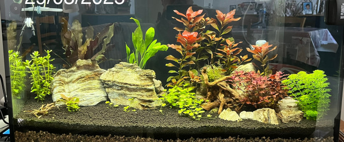 aquarium fred , de Fred95