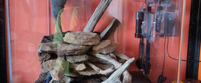 aquarium Le cube , de lolo95