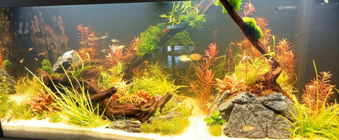 aquarium 180L , de flair1800