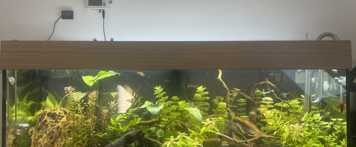 aquarium Aquarium 180 L , de Berds