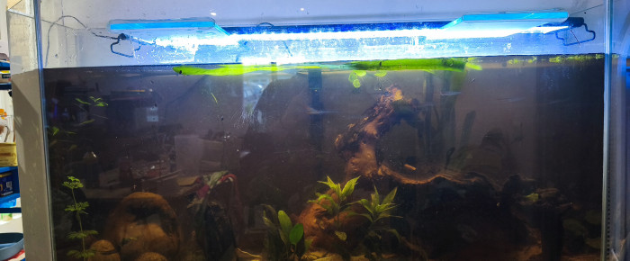 aquarium Mon aquarium , de Aurelay81