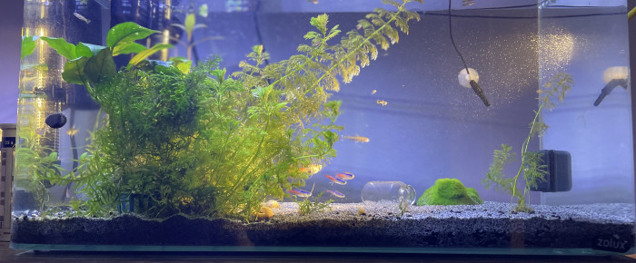 aquarium Batiment B , de Fishnships