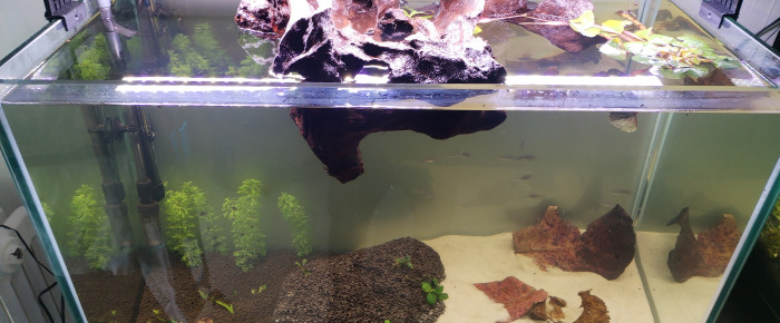 aquarium 160 litre , de Barron