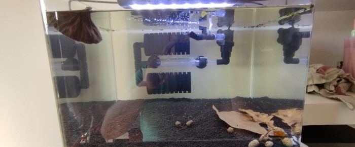 aquarium Scapers 35L Dennerle , de Olivier1977