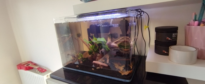 aquarium Scapers 35L Dennerle , de Olivier1977