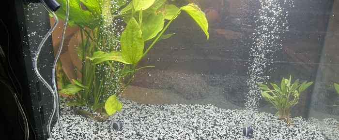 aquarium Rio , de AudreyGtfs