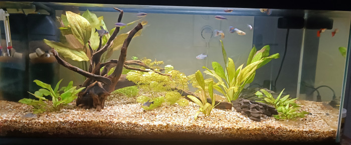 aquarium Yay14 , de Yay14