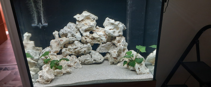 aquarium biotope lac malawi    200 litres , de mikey