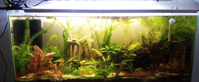 aquarium Aquarium feel good 76L , de mumu18