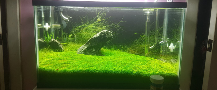 aquarium Furyohin , de LiquidPaper2008