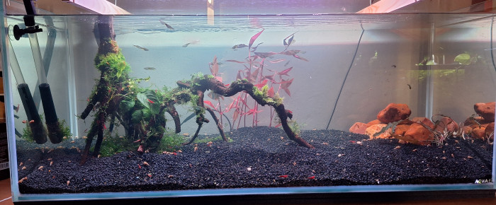 aquarium Propriété de l abonné 160l , de ArtemusKlegg