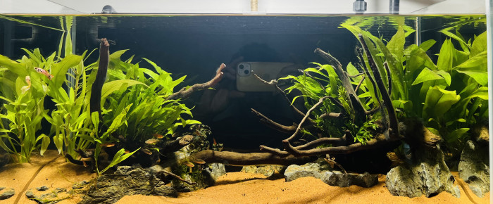 aquarium Premier bac , de Dukzer