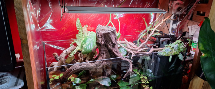 aquarium Paludarium , de ArtemusKlegg