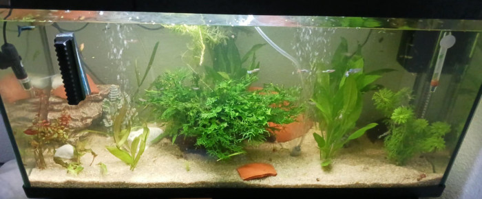 aquarium Aquarium , de Johan.64