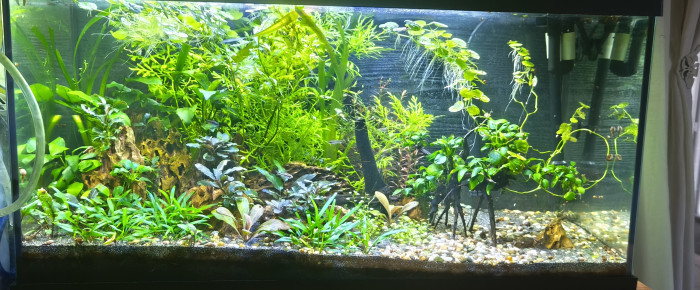 aquarium Tanker , de Lyxs