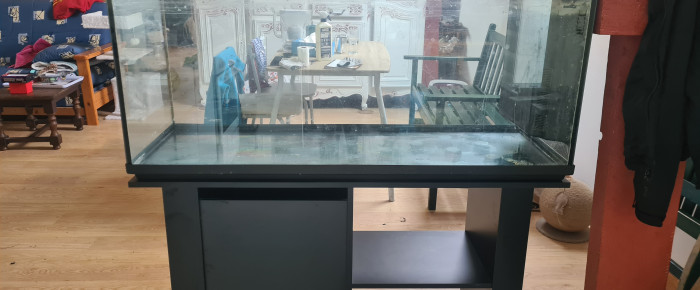 aquarium Tanganyika , de Ailu