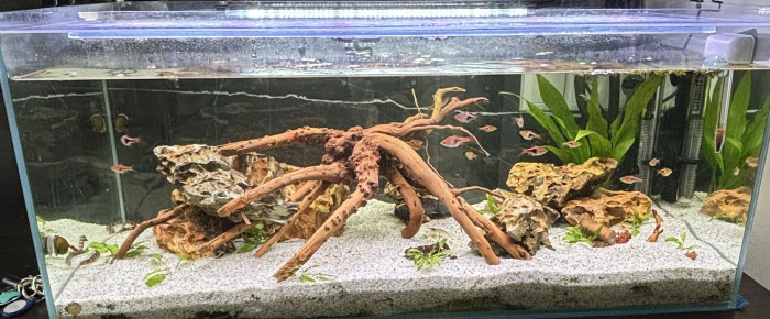 aquarium Mon  bac de 98L , de adr_mrz