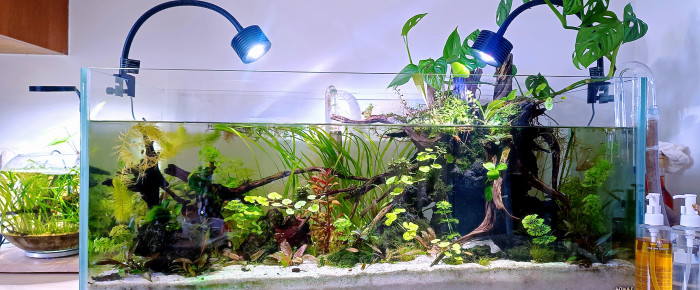 aquarium 160l , de PtiteNoli