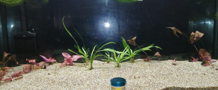 aquarium Mon aqua , de lexx