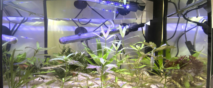 aquarium aqua , de Amel16