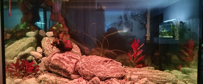 aquarium La rivière , de Aquatech