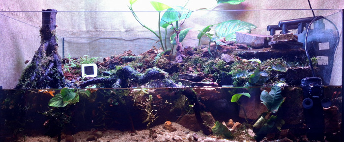 aquarium Paludarium , de ArtemusKlegg