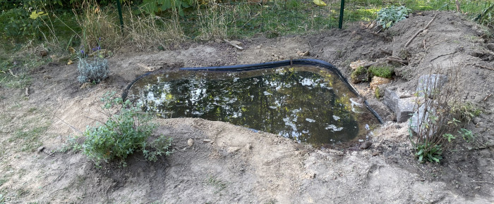 aquarium Mare naturelle , de Scylla_59