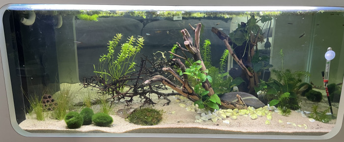 aquarium Aquatable Asie , de Scylla_59