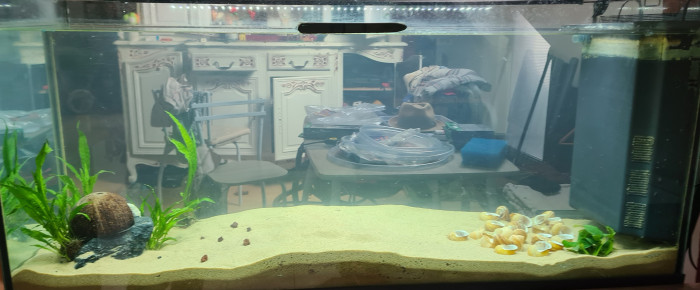 aquarium Tanganyika , de Ailu