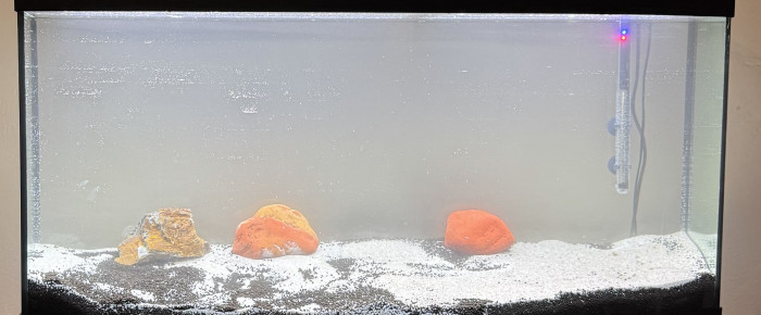 aquarium Juwel 260 Vision , de Bibii07