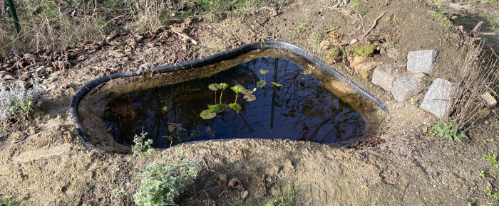 aquarium Mare naturelle , de Scylla_59