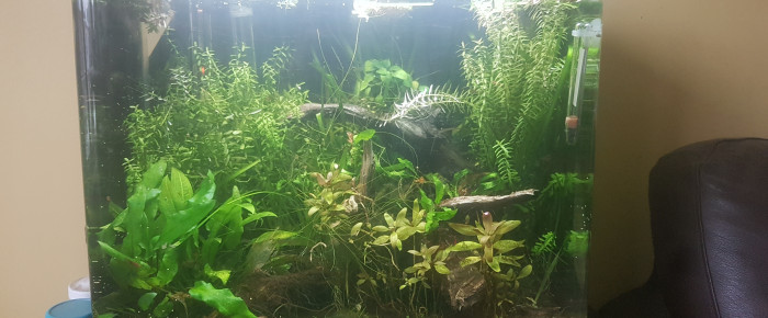 aquarium Bac 35L , de LiquidPaper2008