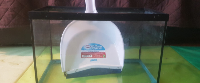 aquarium 20L à l arrêt , de LiquidPaper2008