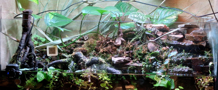 aquarium Paludarium , de ArtemusKlegg