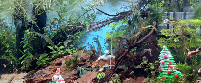 aquarium Ash nazg , de ArtemusKlegg