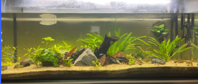 aquarium aquariums 300 L , de axelBRN