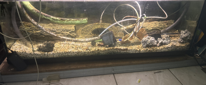 aquarium 120l , de cambierguillaume