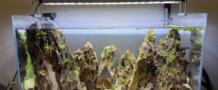 aquarium 1er bac , de Leonh94